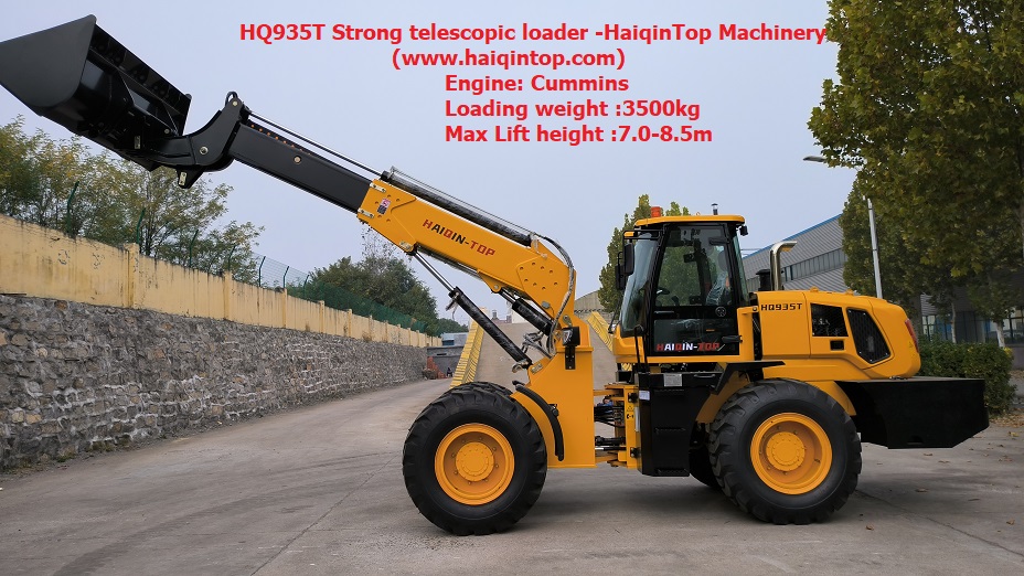 Maintenance items of Telescopic Loader generator