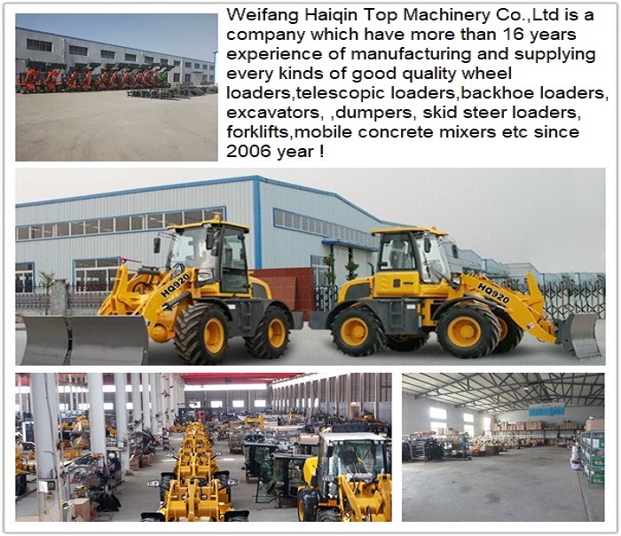 Mini Wheel loader professional manufacture