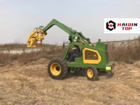 Small 4 Wheel Cane Loader HQ3600